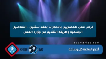 فرص عمل للمصريين بالإمارات بعقد سنتين.. التفاصيل الرسمية وطريقة التقديم من وزارة العمل